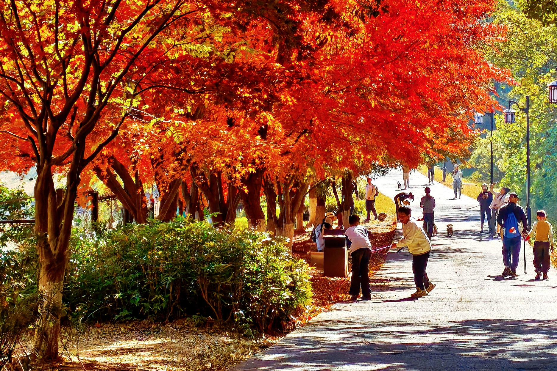 ec05080a63044bb8127e8c58f678f165_origin.jpg ec05080a63044bb8127e8c58f678f165_origin.jpg